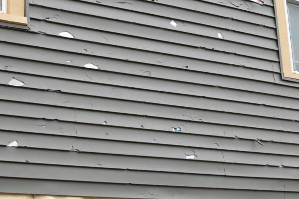 Affordable Siding Repair and Maintenance Services in Forest City, FL